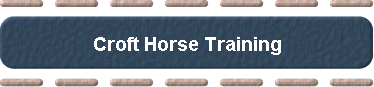 Croft Horse Training