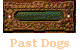  Past Dogs 