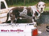cWShowtime
