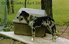 Copy of cCowboy2 4_00