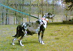 cMandy1
